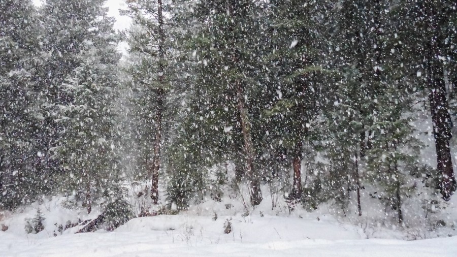 Snowy April-1360963